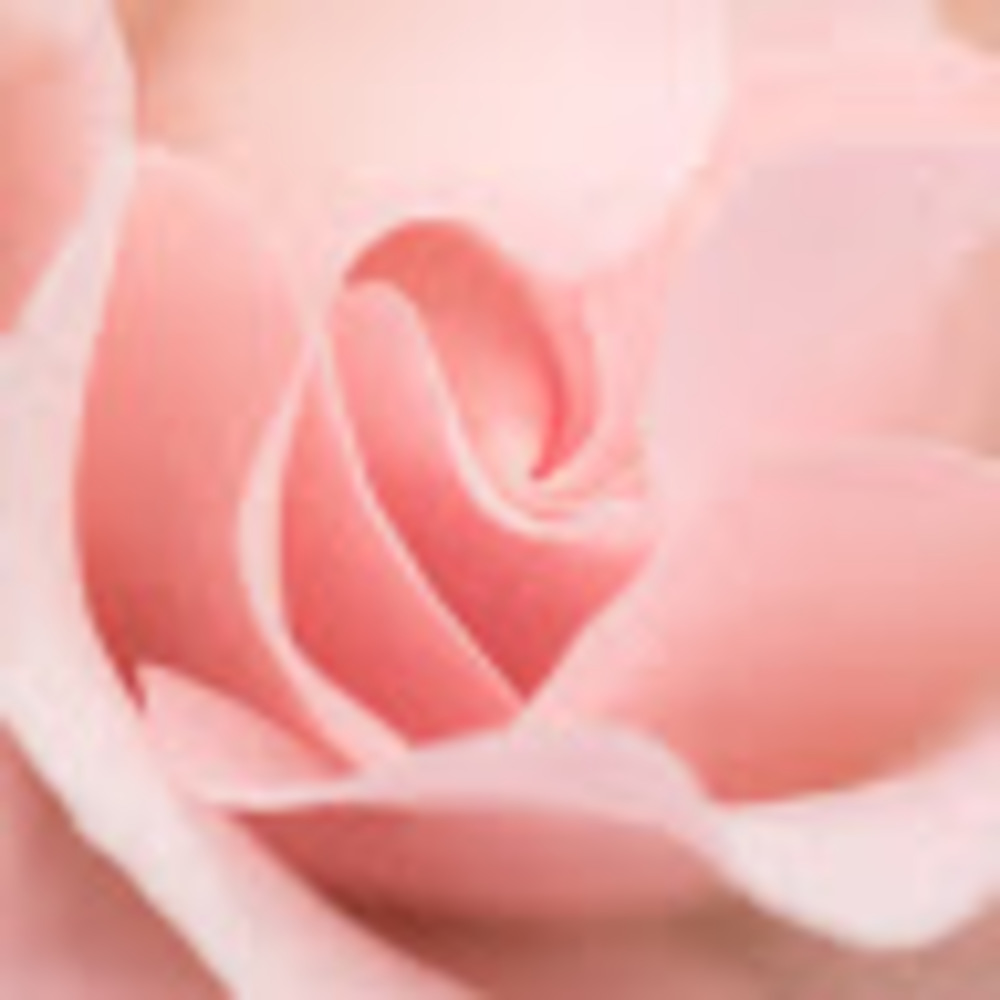 Meet your Posher, Patience